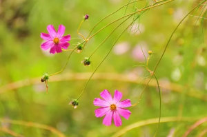 何が自分を愛することなのか？