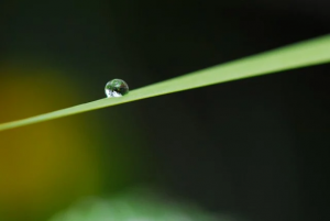 愛されていないことが・・・苦しい時