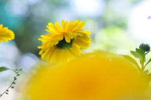 あなたの歌を歌っていてほしい