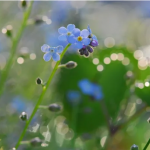 今、経験していることは必ずいつか誰かのために