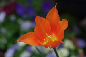 夫婦、人間関係、家族・・・今、苦しい時にまず出来ること