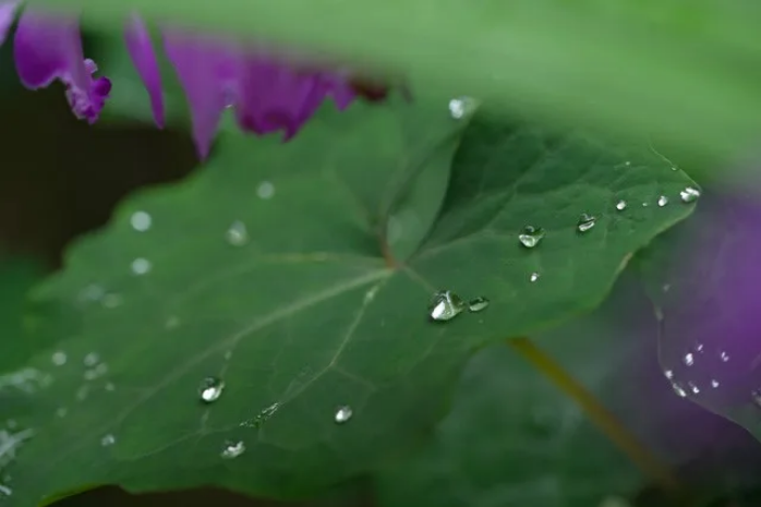 あなたに会えるだろうか