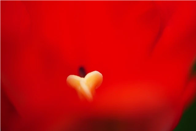 ありったけの愛を