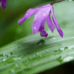 その人と一緒にいられる時間は永遠ではない