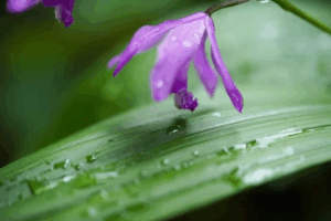 その人と一緒にいられる時間は永遠ではない