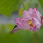 『不安』をやわらげる方法