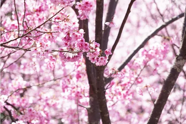 あなたの起こした奇跡 